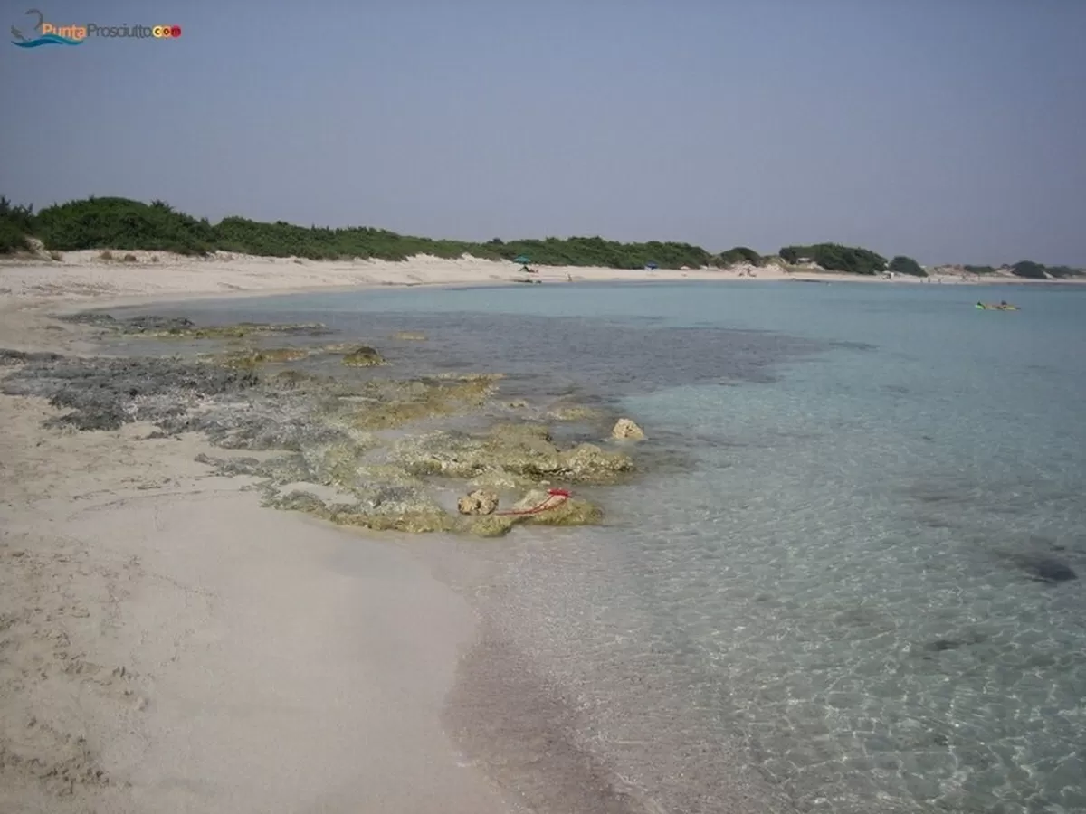 Spiaggia spiaggetta palude del conte IR6