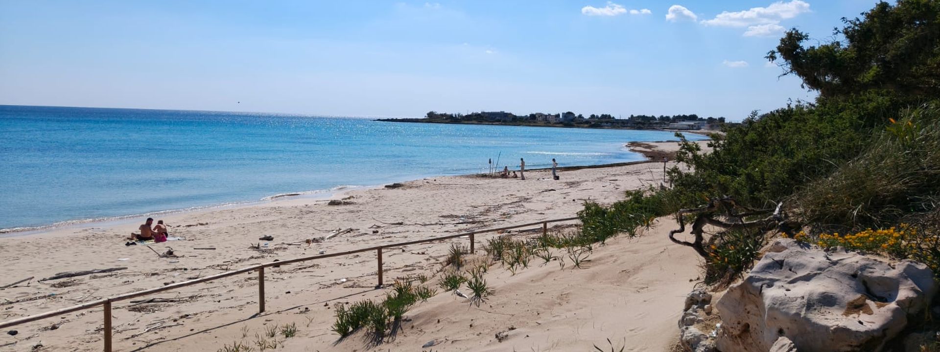Spiaggia con dune naturali