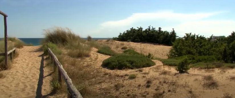 Campomarino di Maruggio dune