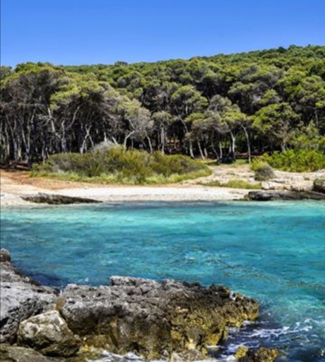 Porto selvaggio spiaggia