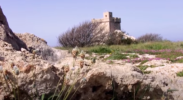 Torre Squillace panoramica