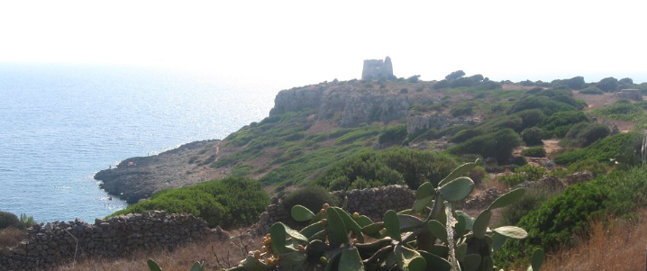 Torre Uluzzo Nardo Scogliera Salento