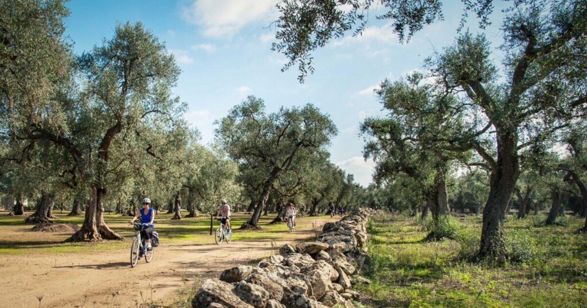 Lecce Tour Del Salento In Bicicletta Tour Di Gruppo Di Lecce In