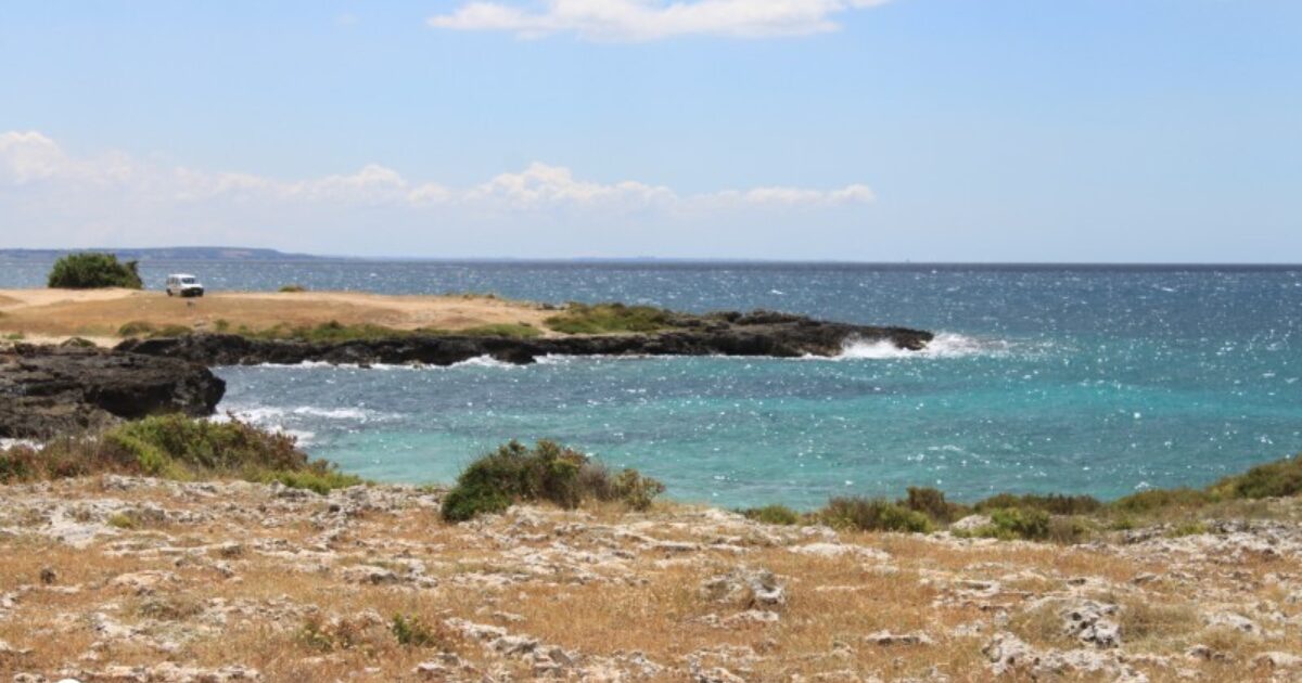 Torre Castiglione cosa sapere