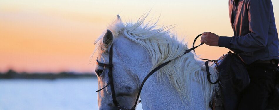 Escursione a cavallo