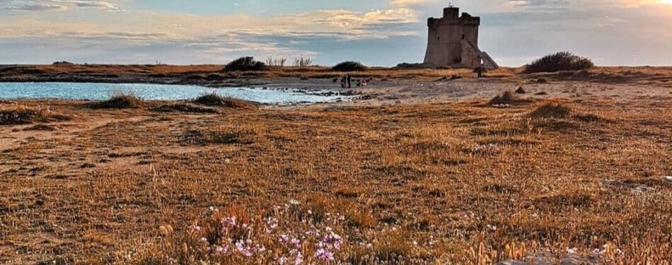 Torre squillace