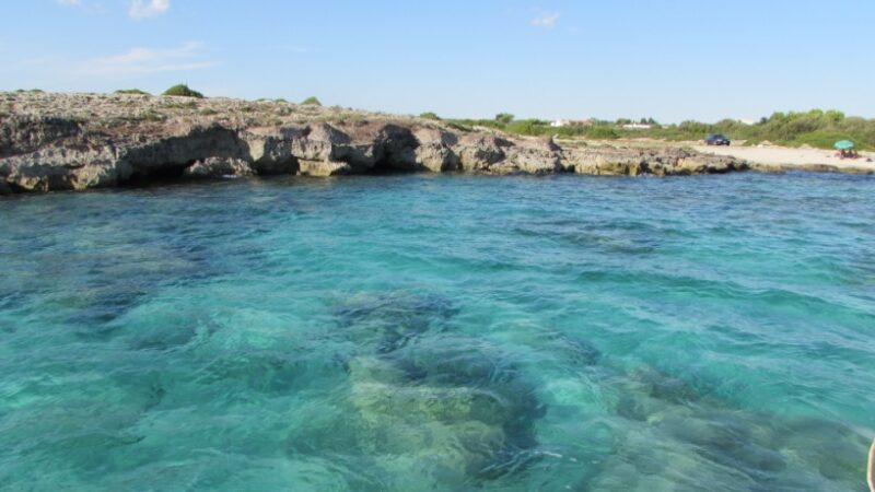 Escursioni in barca porto cesareo 053