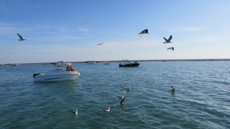 Escursioni in barca porto cesareo 062