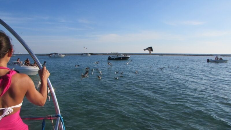 Escursioni in barca porto cesareo 067