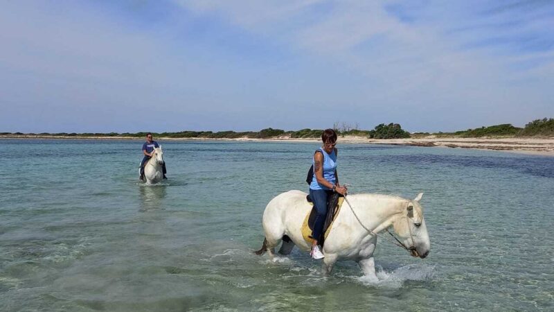 Escursione cavallo porto cesareo