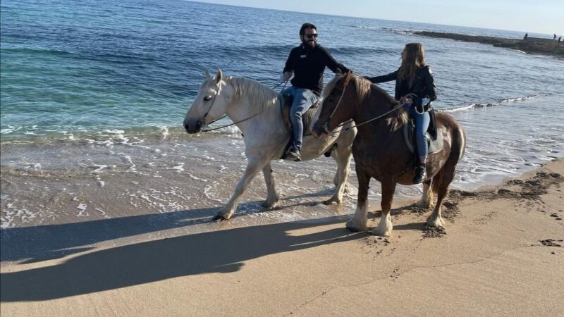 Maneggio porto cesareo 1