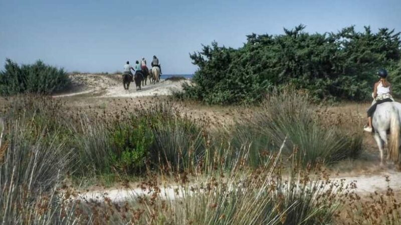 Maneggio Porto Cesareo04