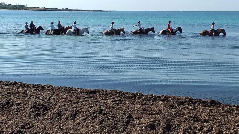 Passeggiata cavallo mare punta prosciutto