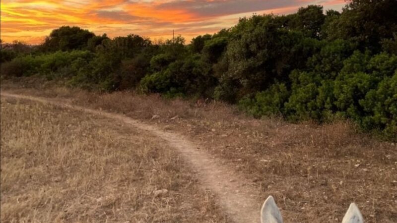 Passeggiata cavallo tramonto porto cesareo