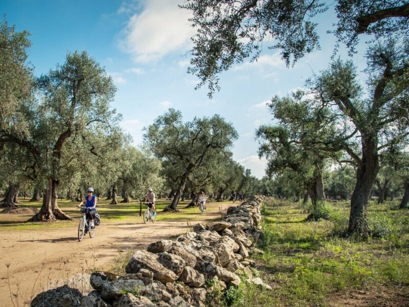 Escursione in bici nelle campagne salentine di Lecce