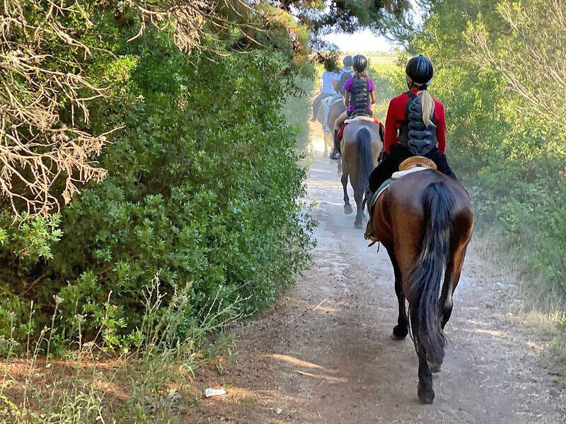 Escursione cavallo sant andrea 12