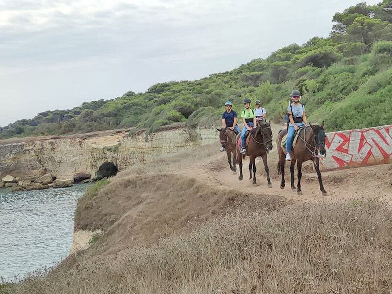 Escursione cavallo sant andrea 5