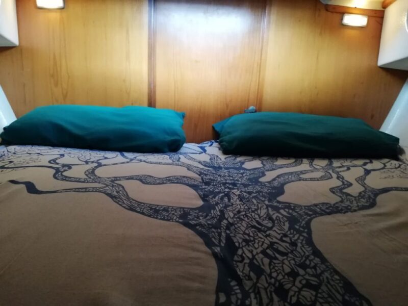 Gita privata barca vela campomarino5