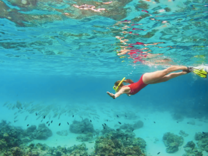 Immersioni punta prosciutto