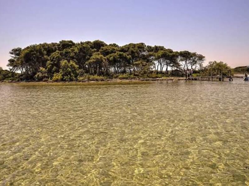 Isola conigli porto cesareo