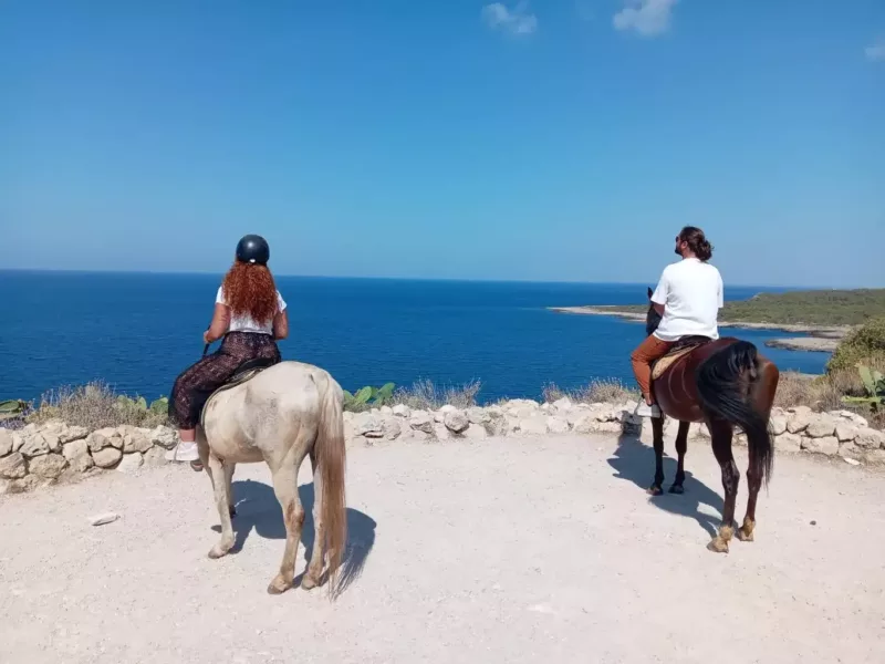 Maneggio porto selvaggio