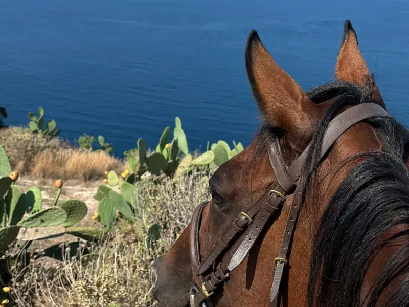 Maneggio porto selvaggio2