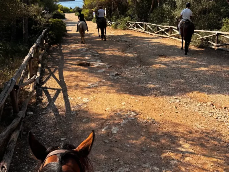 Maneggio porto selvaggio3