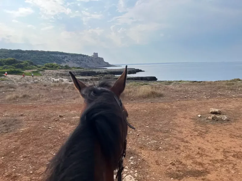 Maneggio porto selvaggio5