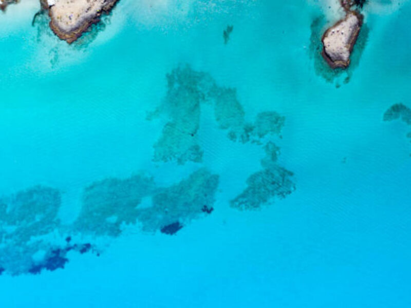 Mare cristallino tour punta pizzo gallipoli