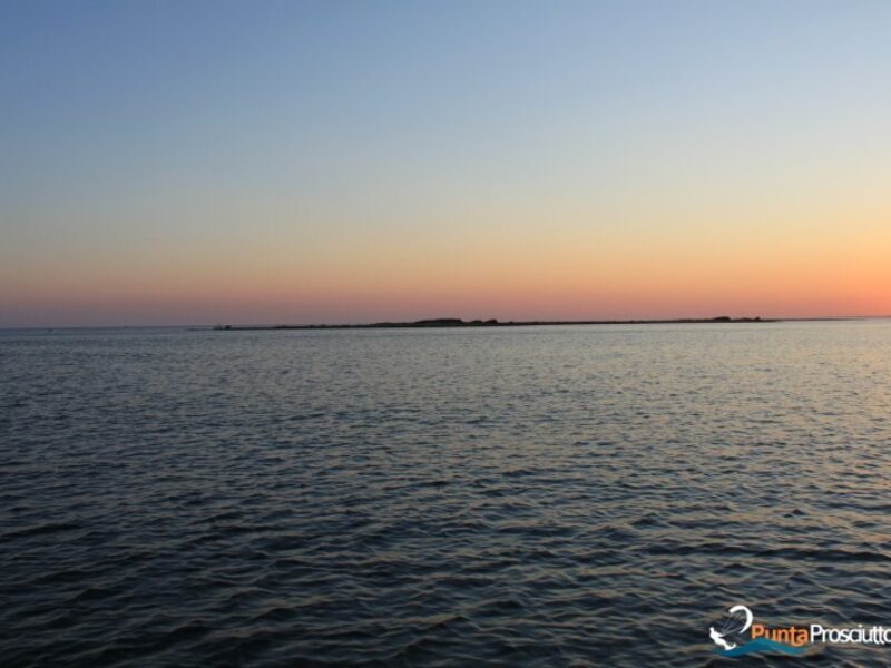 Panorama panorama torre chianca l KQ