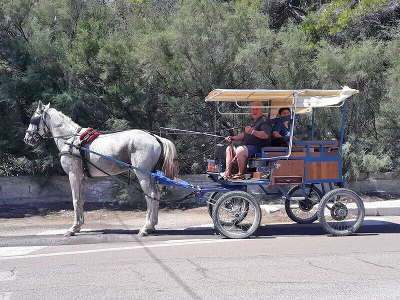 Passeggiata carrozza cesine 7