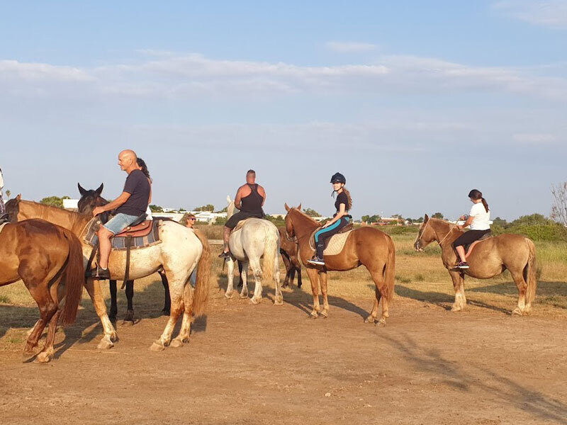 Passeggiata cavallo porto cesareo 15