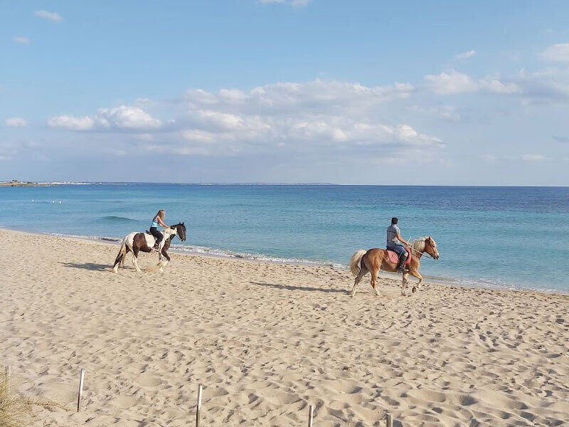 Passeggiata cavallo porto cesareo 6