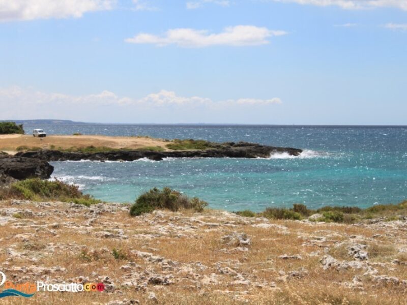 Torre torre castiglione S6l