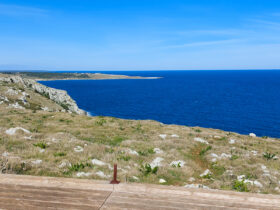 1 baia delle orte salento gite in barca