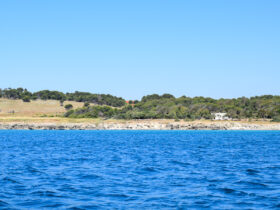 1 baia delle orte salento gite in barca1