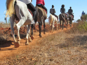 Escursione cavallo otranto 2