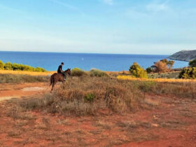 Escursione cavallo otranto 3