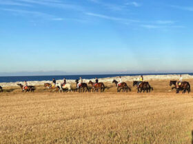 Escursione cavallo otranto 5