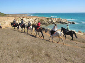 Escursione cavallo otranto 8