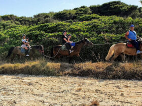 Escursione cavallo sant andrea 10