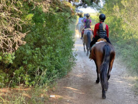 Escursione cavallo sant andrea 12