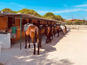 Escursione cavallo sant andrea 13