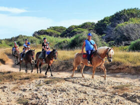 Escursione cavallo sant andrea 4