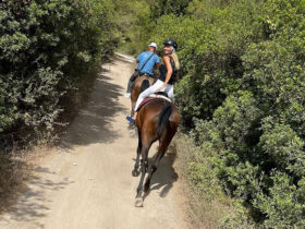 Escursione cavallo sant andrea 6