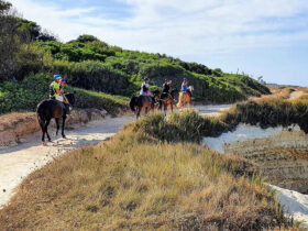 Escursione cavallo sant andrea 7