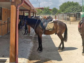 Escursione cavallo sant andrea 8