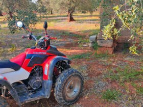 Escursione quad salento 8