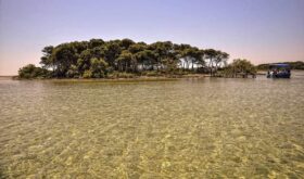 Isola conigli porto cesareo