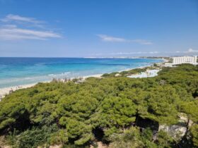Luquadsalento 40